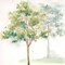 Woodland Trees IV Poster Print by Cynthia Coulter - Item # VARPDXRB11278CC